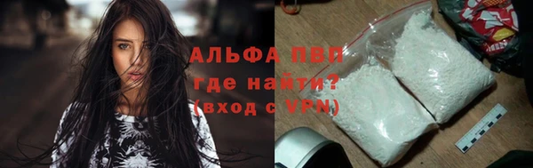спиды Абаза