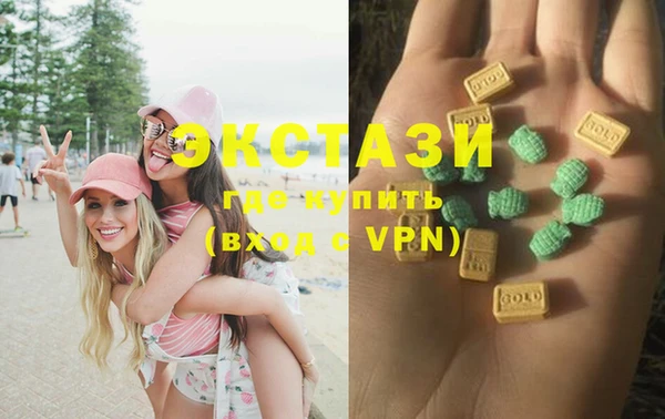 стафф Снежногорск