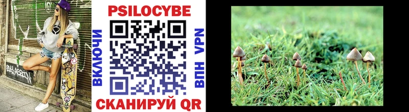 Псилоцибиновые грибы Psilocybe дарк нет как зайти Змеиногорск